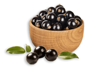 Jabuticaba