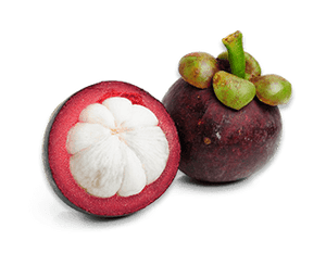 Mangosteen